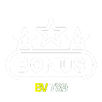  BV789
